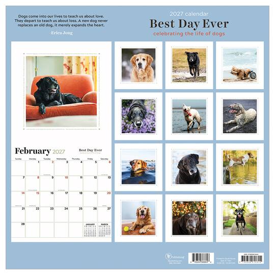 2027 Best Day Ever: Celebrating The Life of Dogs Wall Calendar